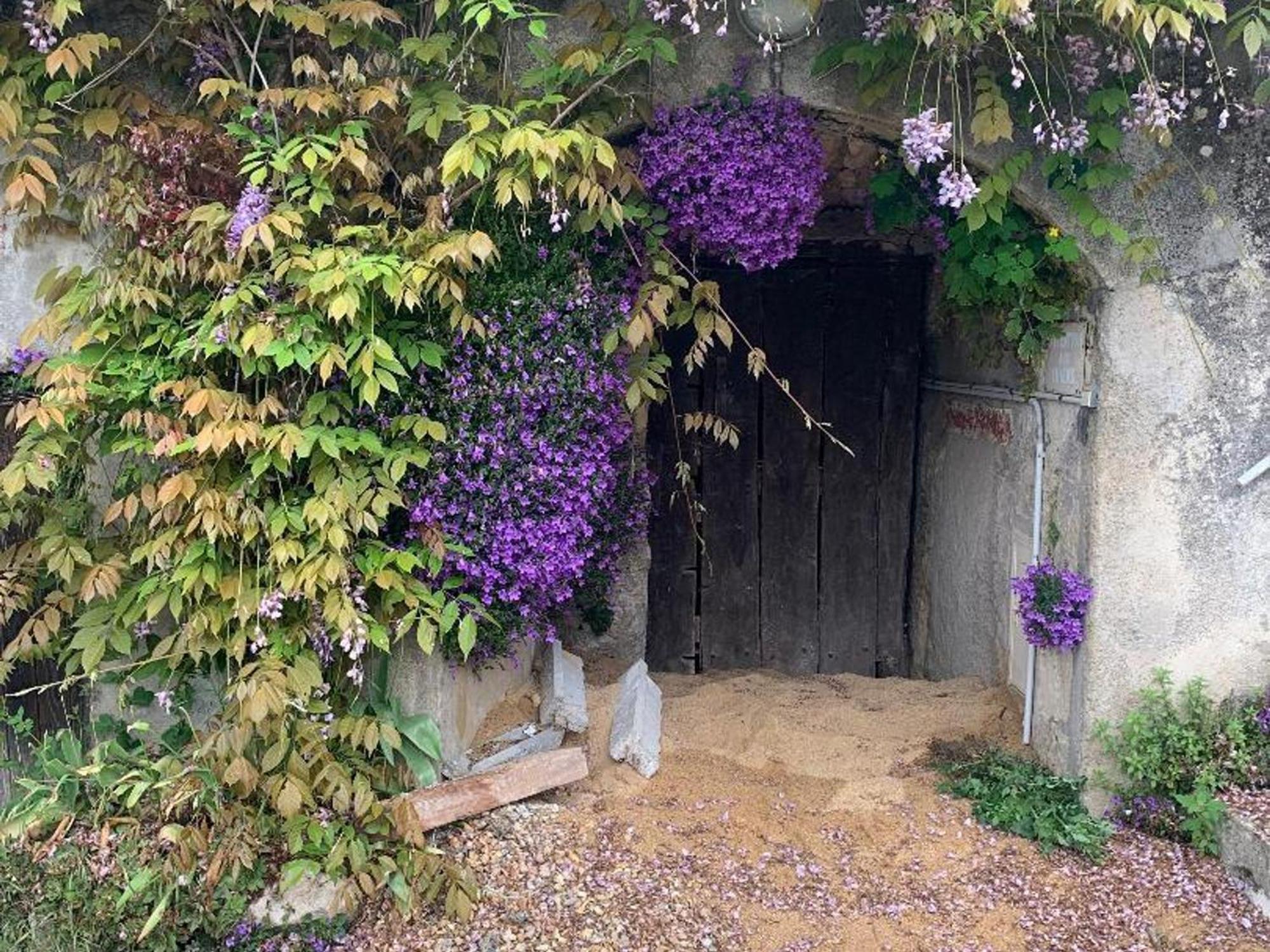 Ferriere-Larcon Gite Tout Confort Avec Grand Jardin, Terrasse Ombragee, Animaux Acceptes, Proche De Loches - Fr-1-381-560ヴィラ エクステリア 写真