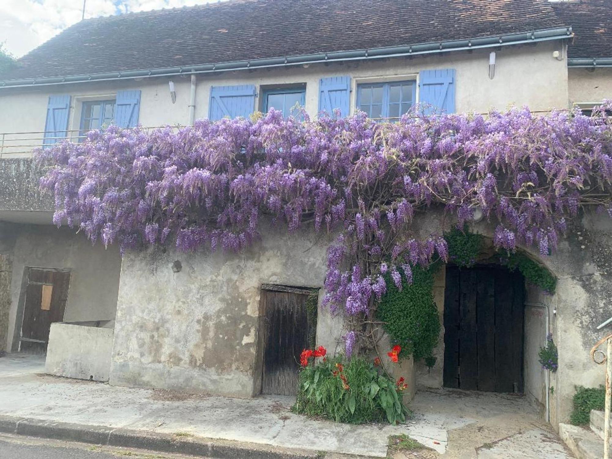 Ferriere-Larcon Gite Tout Confort Avec Grand Jardin, Terrasse Ombragee, Animaux Acceptes, Proche De Loches - Fr-1-381-560ヴィラ エクステリア 写真